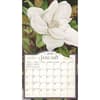 image Midnight Garden Special Edition 2025 Wall Calendar Second Alternate Image width="1000" height="1000"