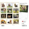 image Yorkshire Terriers Deluxe 2024 Wall Calendar First Alternate Image width=&quot;1000&quot; height=&quot;1000&quot;