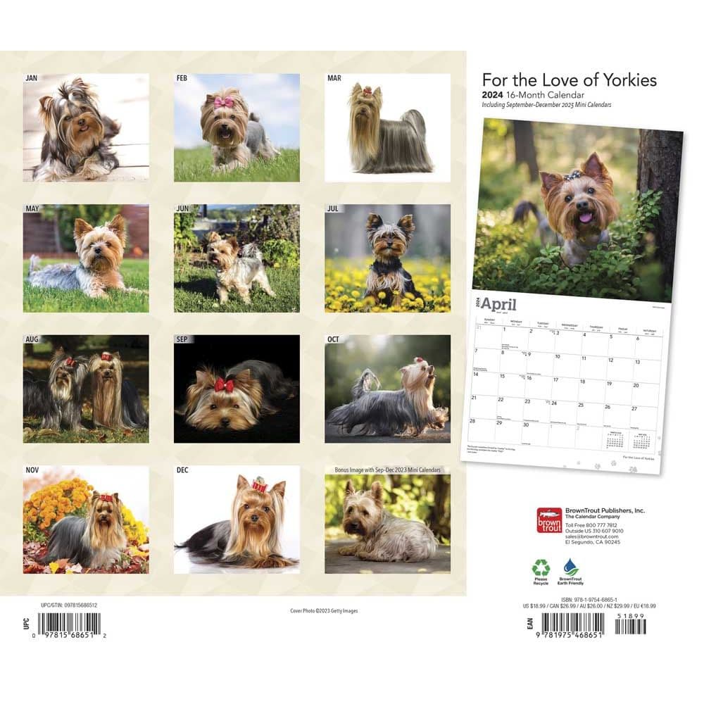 Yorkshire Terriers Deluxe 2024 Wall Calendar First Alternate Image width=&quot;1000&quot; height=&quot;1000&quot;