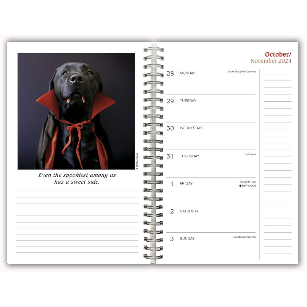 Dogs Guide To Life Classic 2025 Planner Sixth Alternate Image width=&quot;1000&quot; height=&quot;1000&quot;