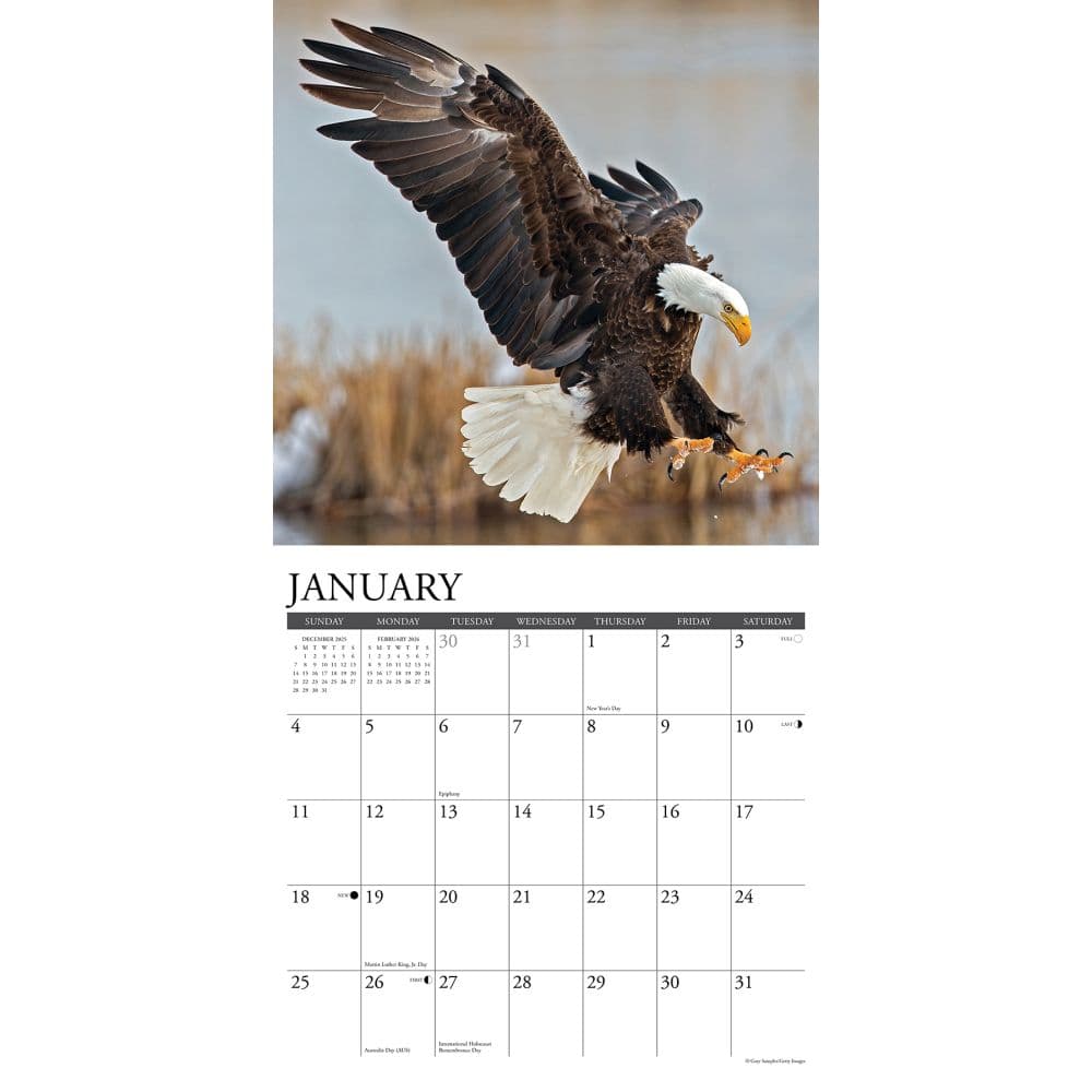 Eagles 2026 Wall Calendar Second Alternate Image