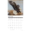 image Eagles 2026 Wall Calendar Second Alternate Image