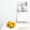 image Bull Terriers 2025 Wall Calendar Fourth Alternate Image