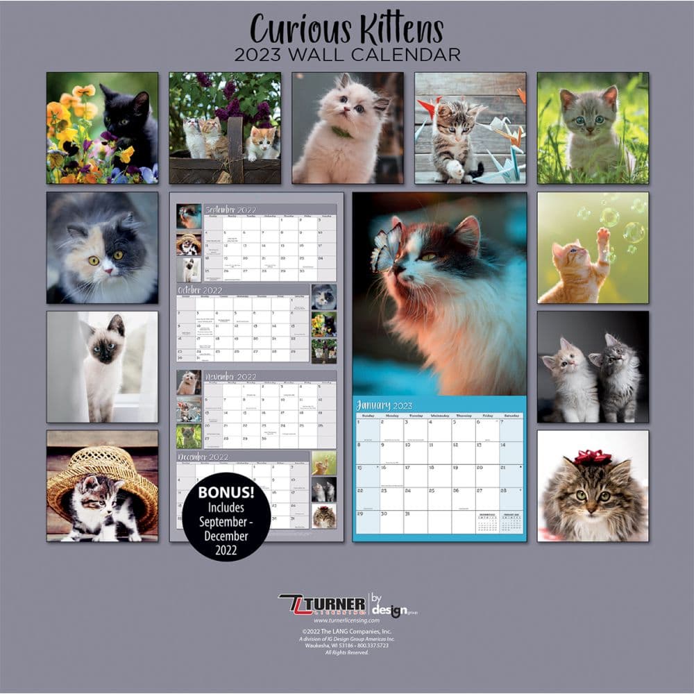 Curious Kittens 2023 Mini Wall Calendar - Calendars.com