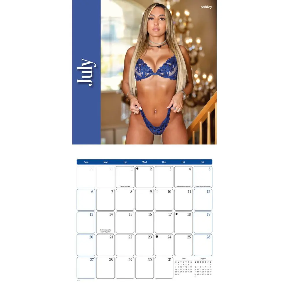 Lingerie 2025 Wall Calendar