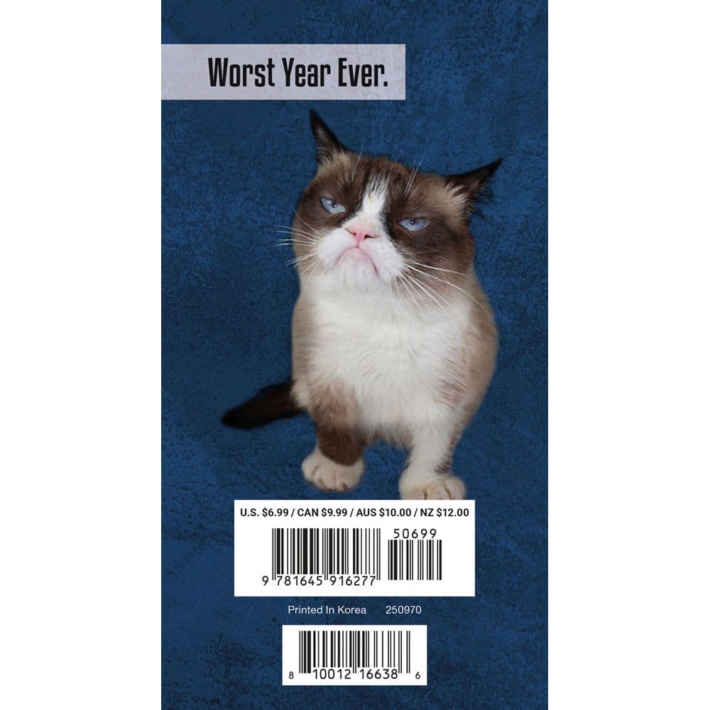 Grumpy Cat 2 Year 2025 Pocket Planner Alt1