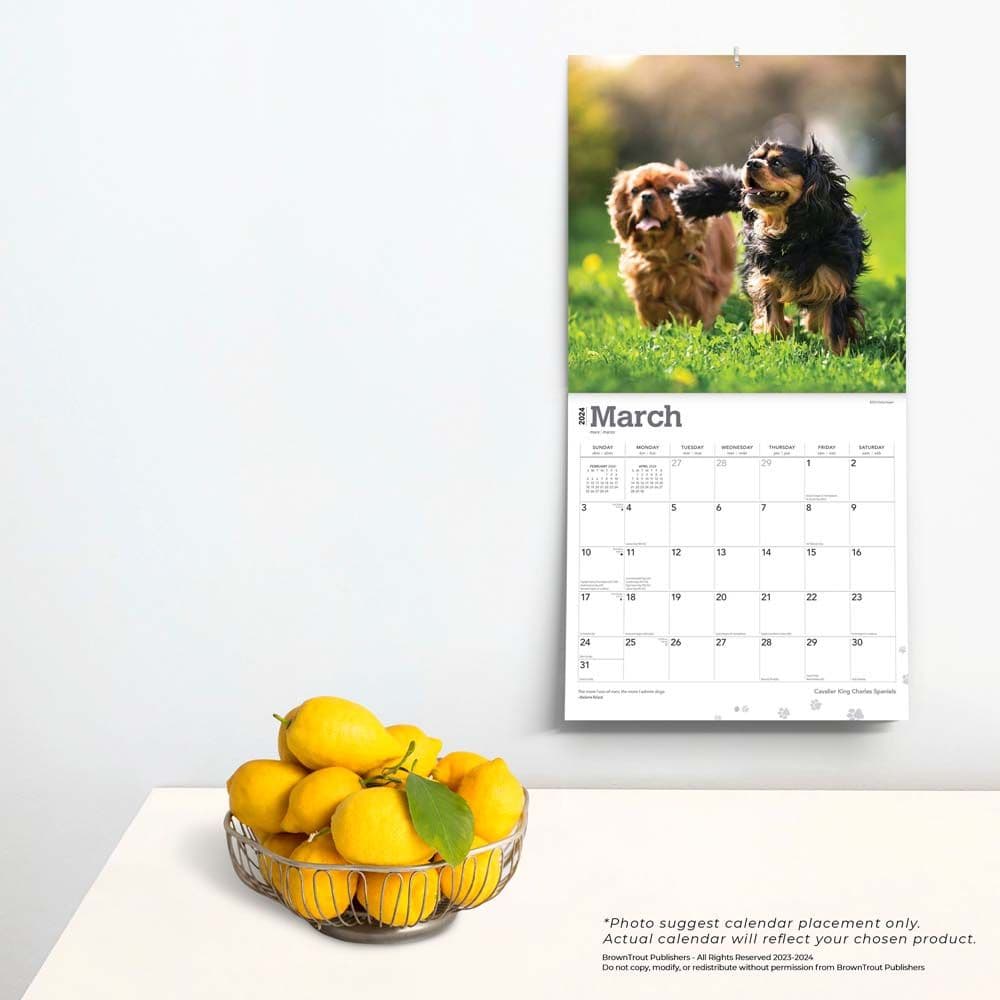 Cavalier King Charles 2024 Wall Calendar