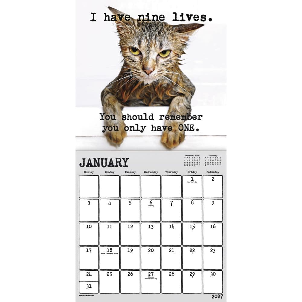 Snarcatstic 2027 Wall Calendar Second Alternate Image