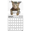 image Snarcatstic 2027 Wall Calendar Second Alternate Image