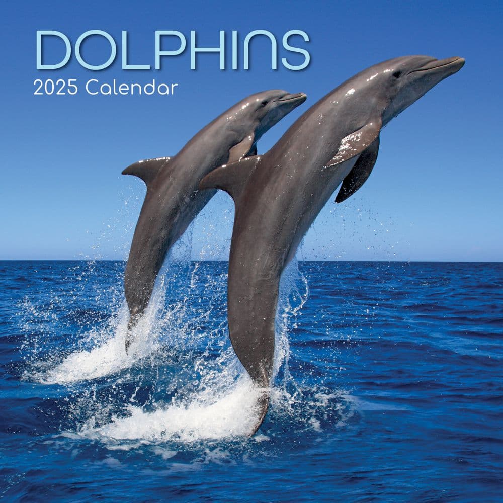 Dolphins 2025 Wall Calendar