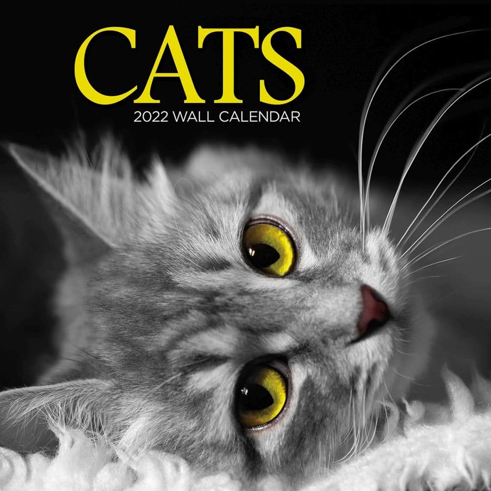 23 Best 2022 Cat Calendars