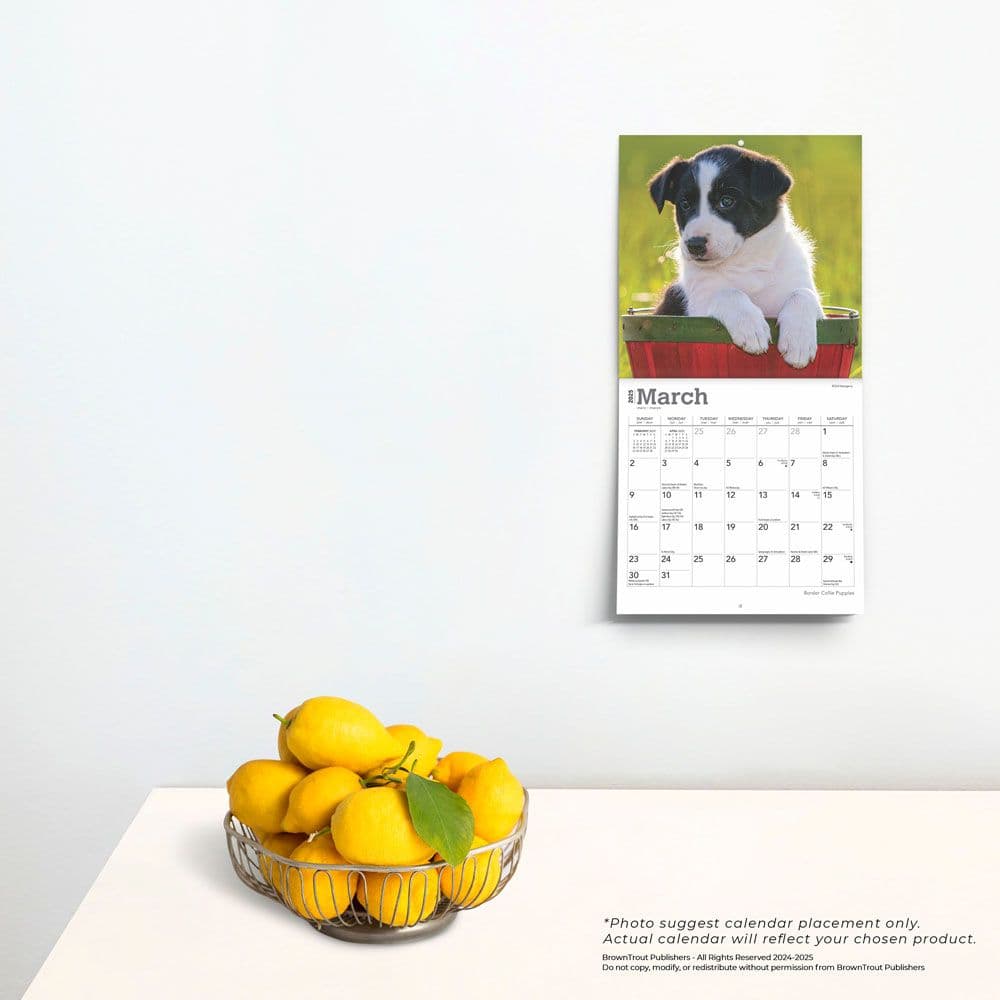Border Collie Puppies 2025 Mini Wall Calendar Fourth Alternate Image width=&quot;1000&quot; height=&quot;1000&quot;