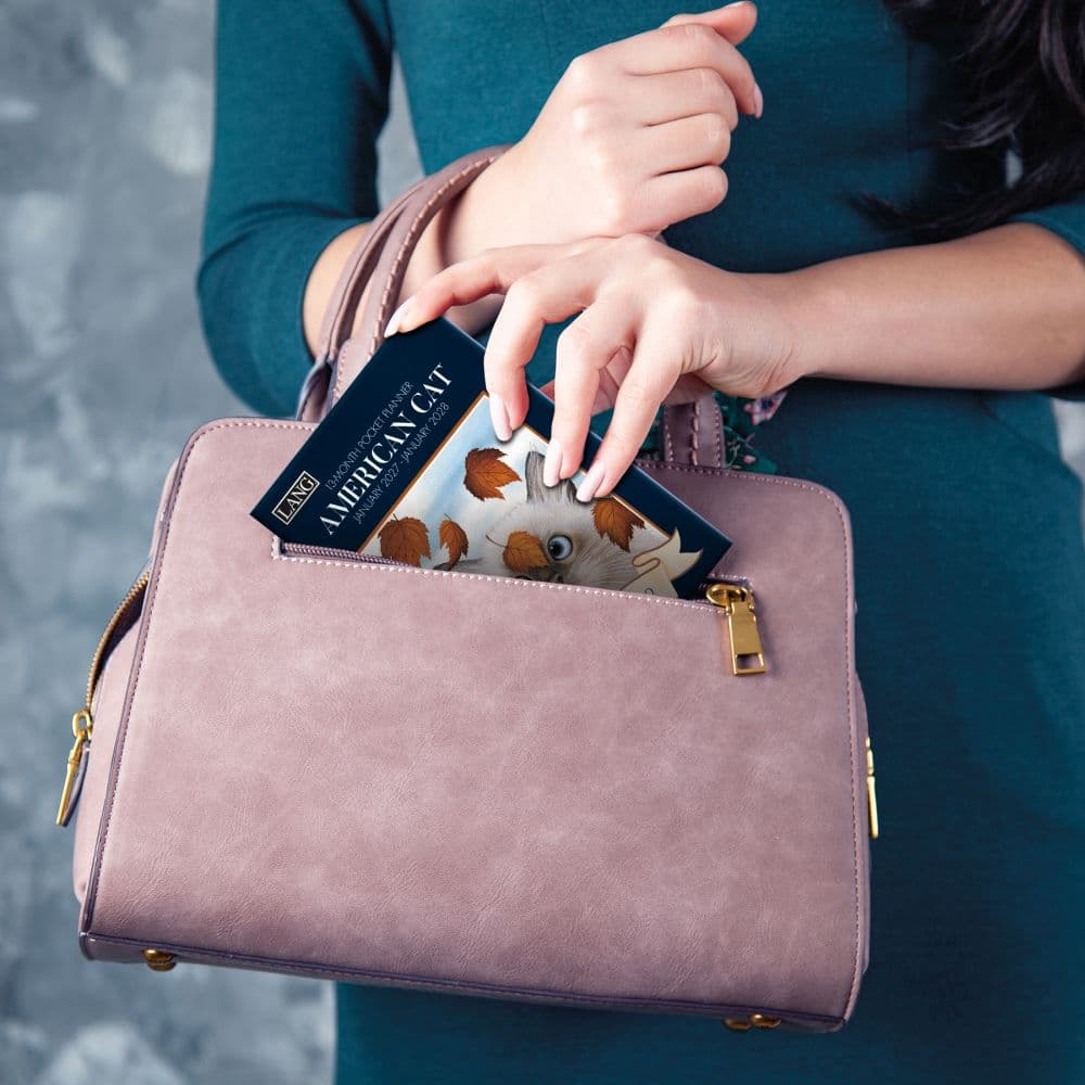 American Cat 2027 Monthly Pocket Planner by Lowell Herrero Seventh Alternate Image