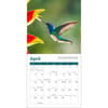 image Hummingbirds 2026 Mini Wall Calendar Second alternate image