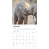 image Elephants 2025 Wall Calendar