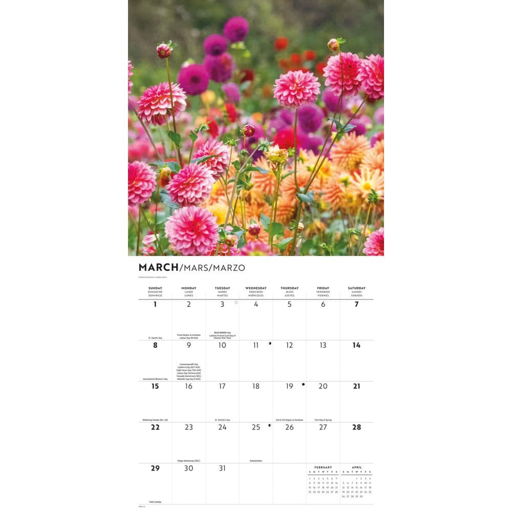 In the Garden 2026 Wall Calendar Second  Alternate Image