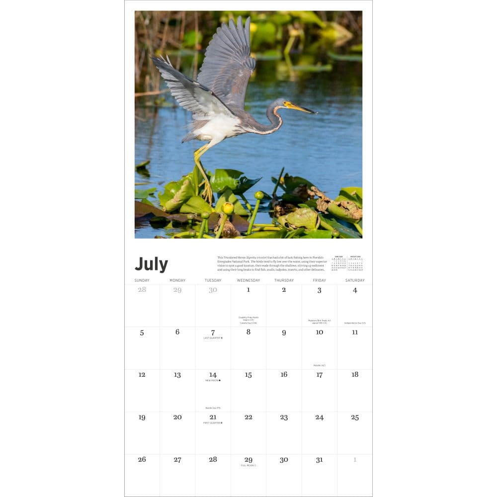 Audubon Nature 2026 Wall Calendar Second Alternate Image