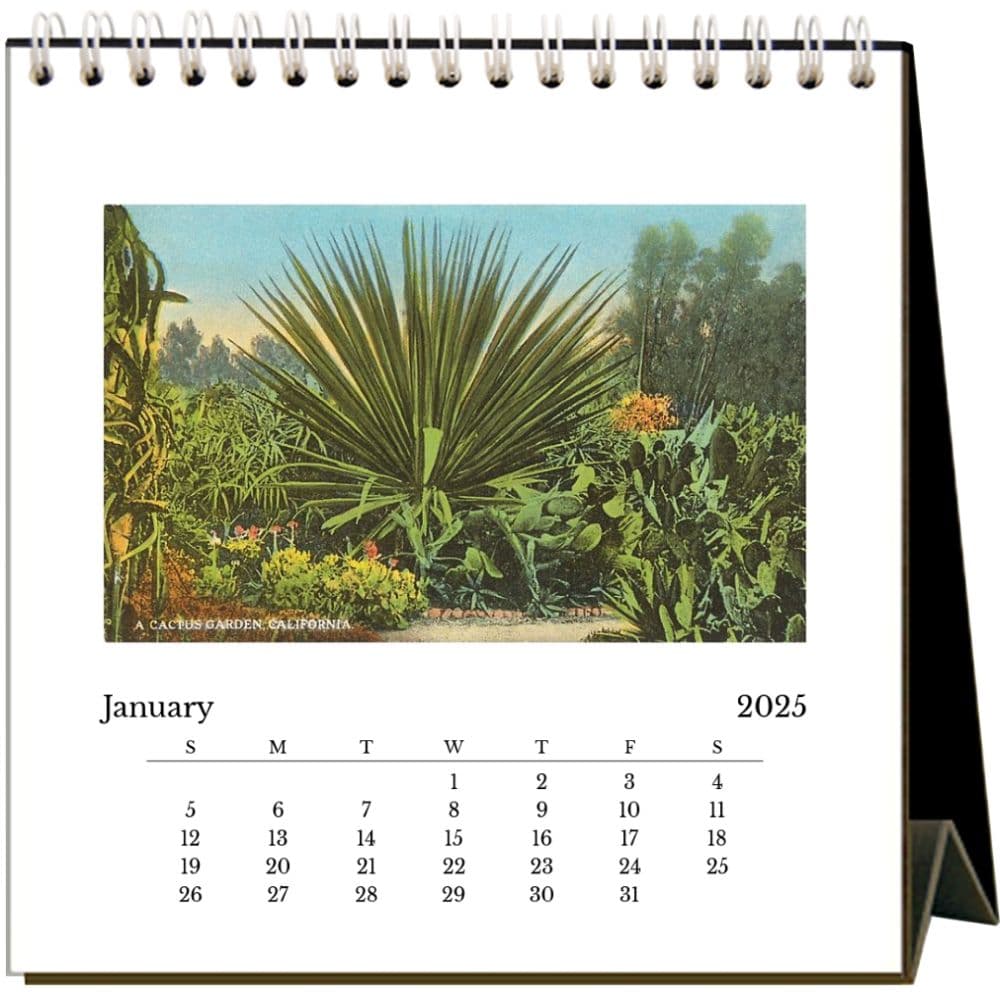 In the Garden 2025 Easel Desk Calendar Second Alternate Image width=&quot;1000&quot; height=&quot;1000&quot;