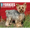 image Just Yorkies 2025 Desk Calendar  Main Image