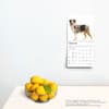 image Australian Shepherd 2025 Mini Wall Calendar Fourth Alternate Image width=&quot;1000&quot; height=&quot;1000&quot;