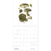 image Mushrooms Viazmensky 2027 Wall Calendar Fourth Alternate Image