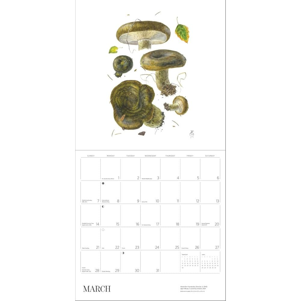 Mushrooms Viazmensky 2027 Wall Calendar Fourth Alternate Image