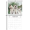 image Playful Puppies 2025 Wall Calendar