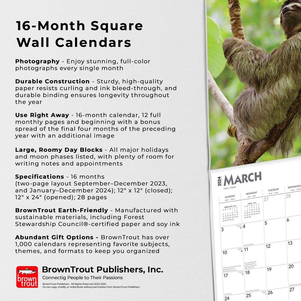 Sloths 2024 Wall Calendar Fourth Alternate Image width=&quot;1000&quot; height=&quot;1000&quot;