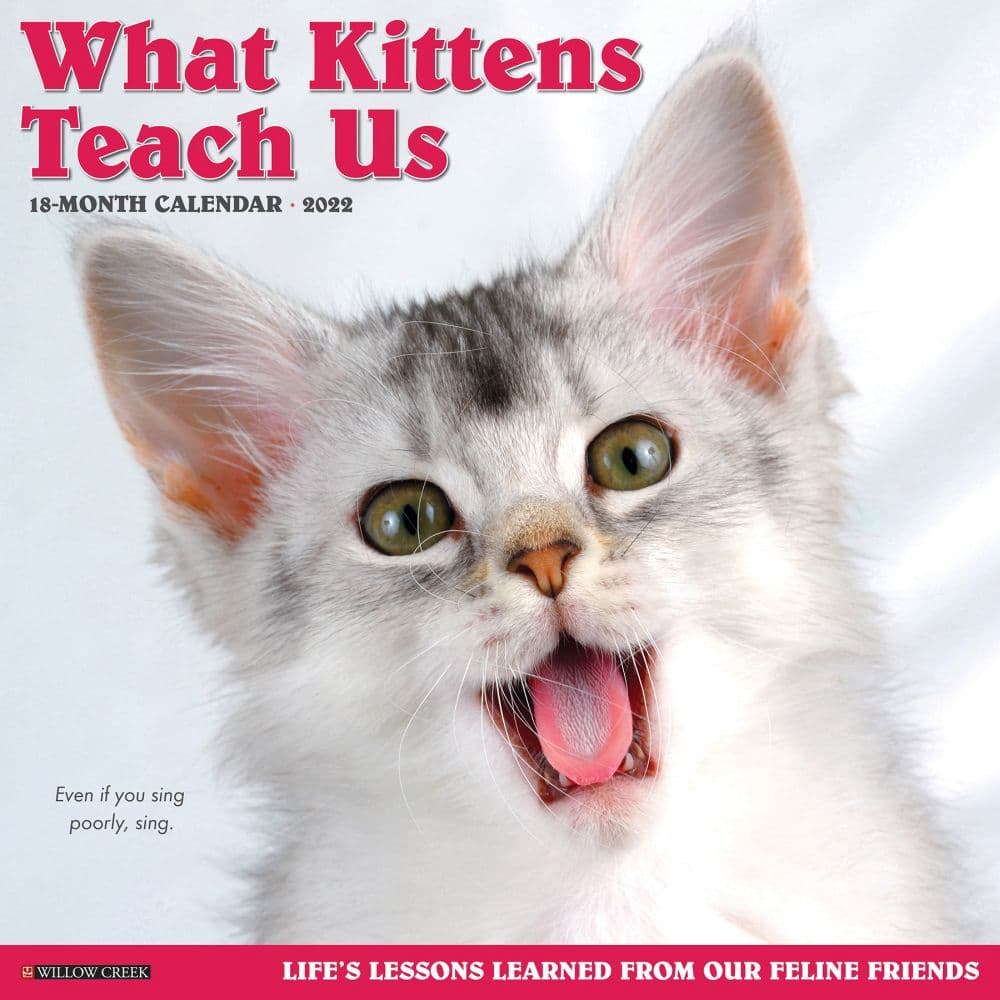 What Kittens Teach Us 2022 Wall Calendar