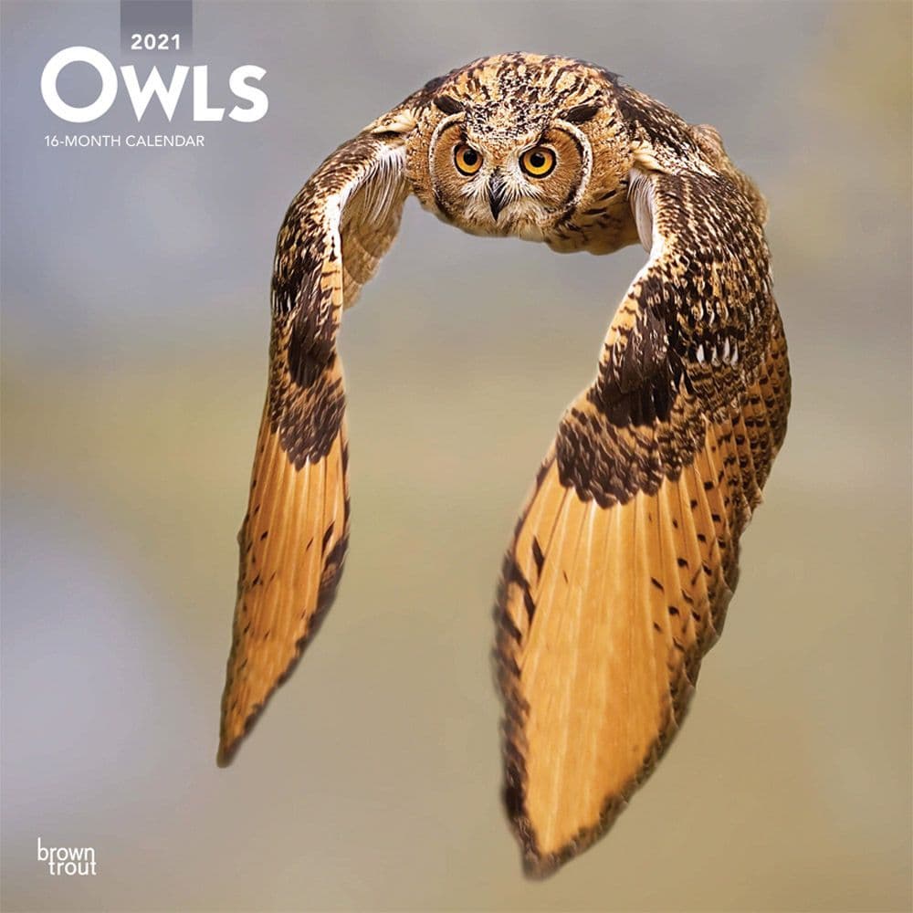 Owls Wall Calendar