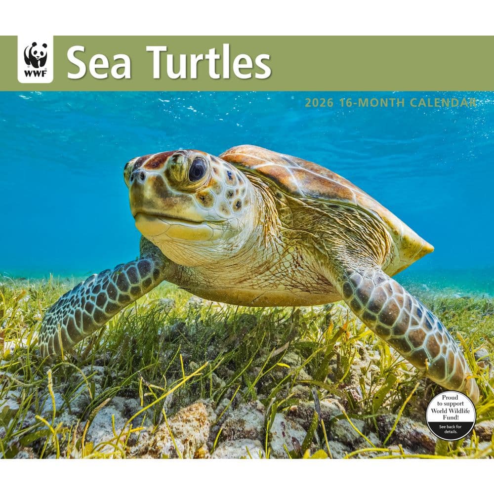 Sea Turtles WWF 2026 Wall Calendar Main Image