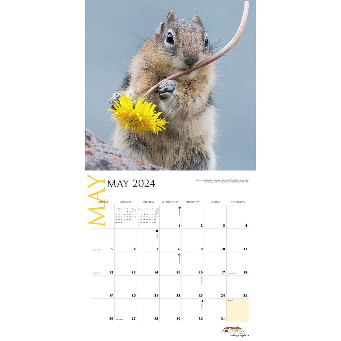 Montana Wildlife 2024 Wall Calendar