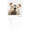 image Dogma 2025 Wall Calendar