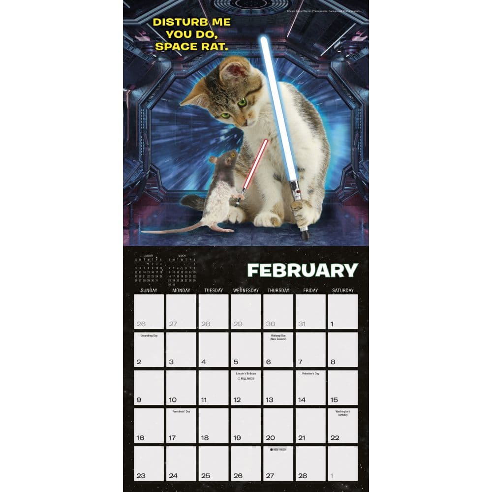 Cat Wars 2025 Mini Wall Calendar Second Alternate Image width=&quot;1000&quot; height=&quot;1000&quot;