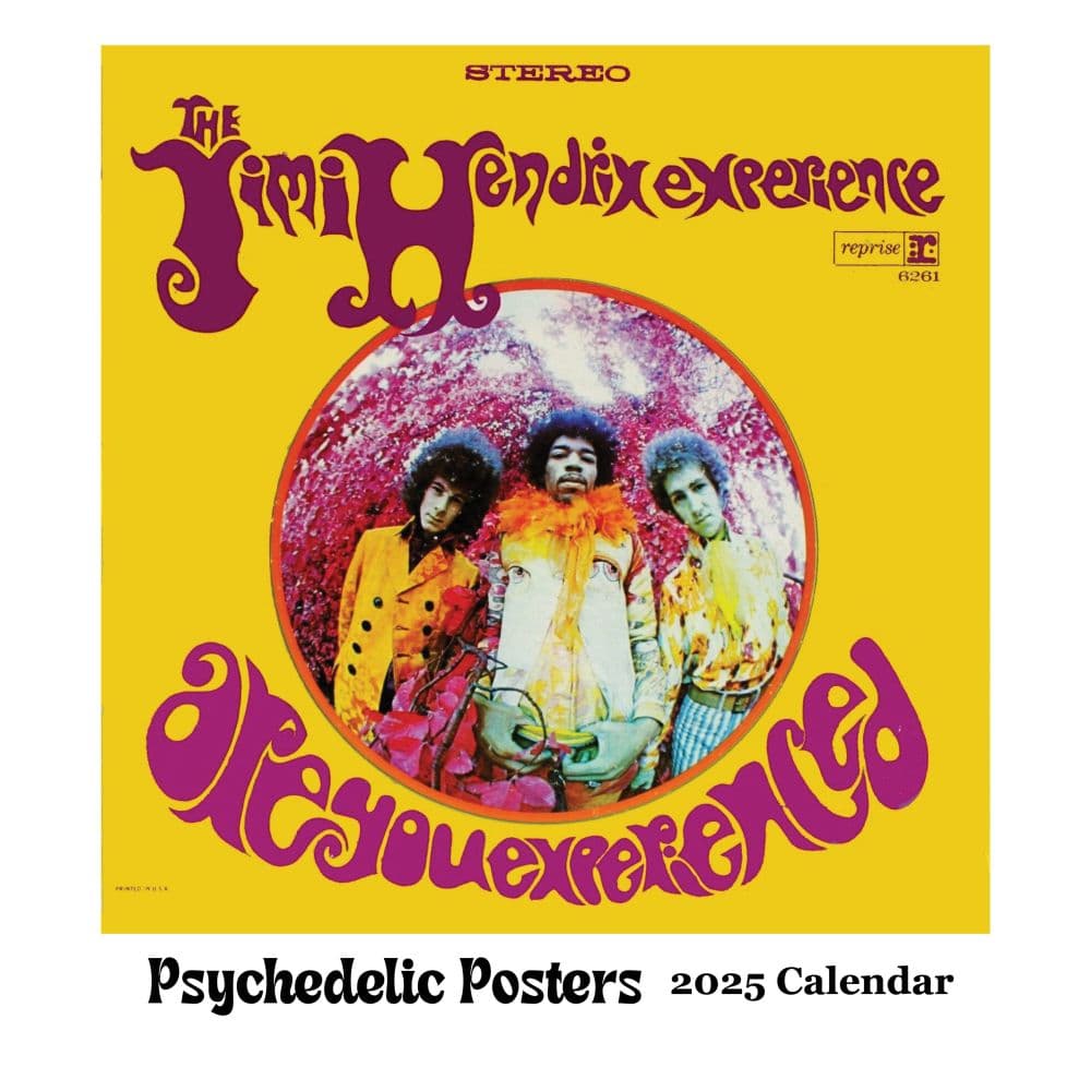 Psychedelic Square 2025 Wall Calendar