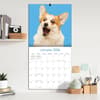 image Doggy Want A Treat 2026 Wall Calendar_ALT4