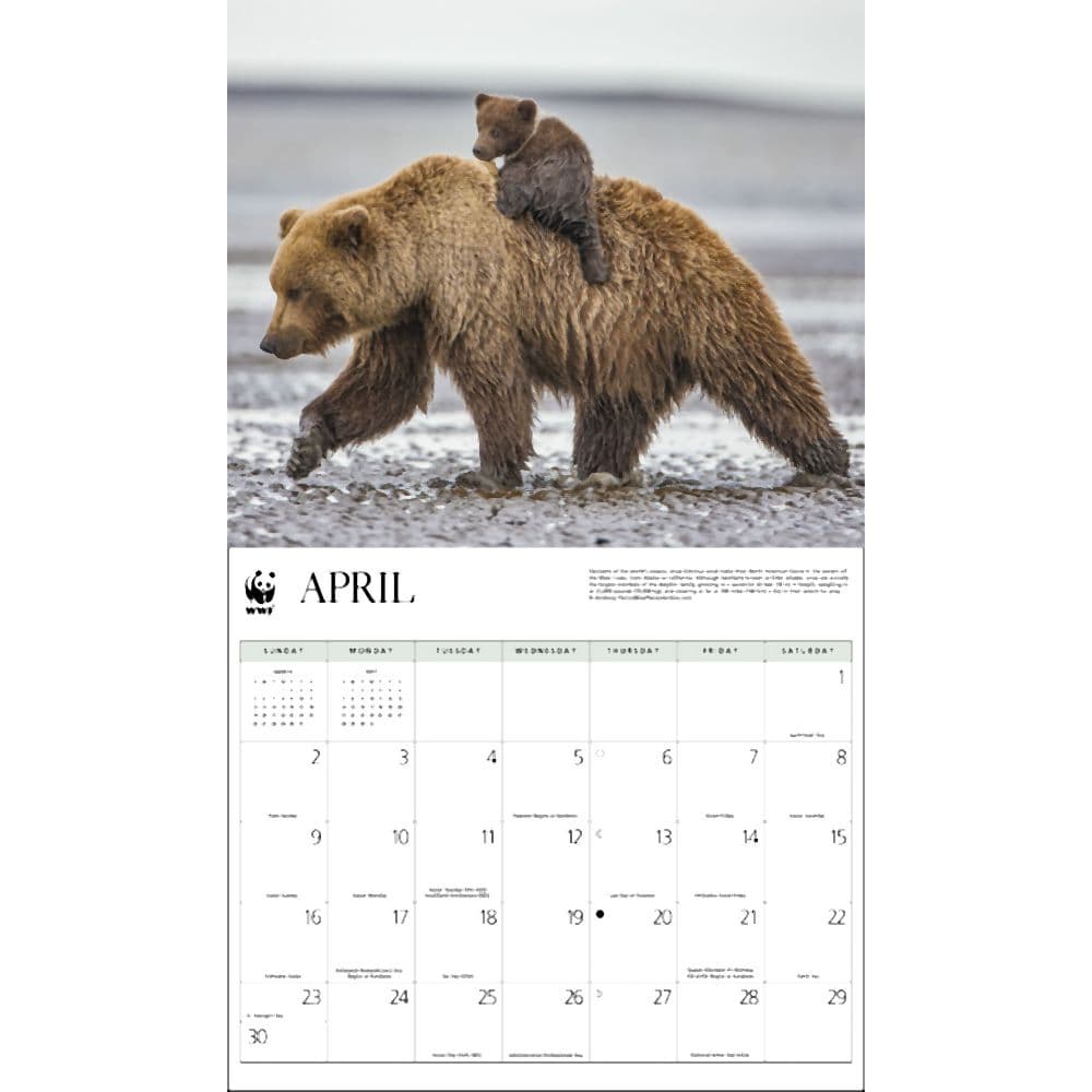 WWF Wildlife 2023 Wall Calendar - Calendars.com