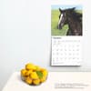 image Quarter Horses 2025 Wall Calendar