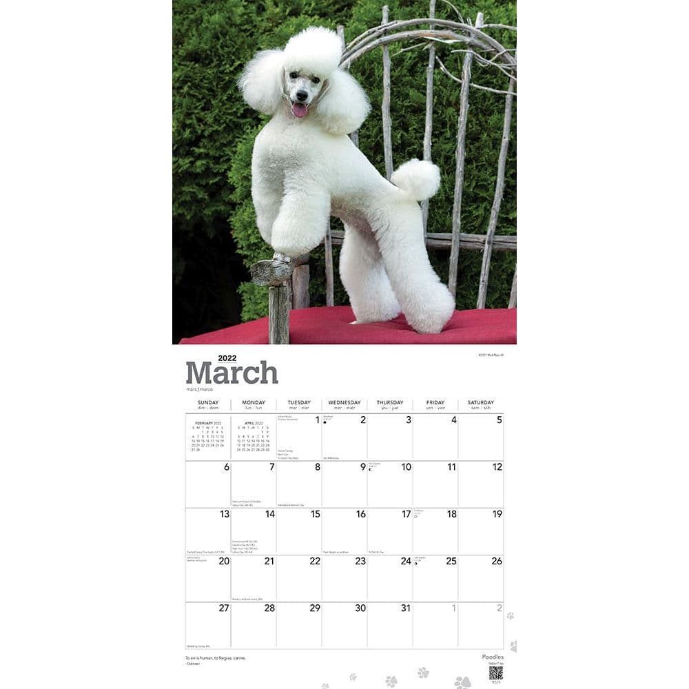 Poodles 2022 Wall Calendar - Calendars.com