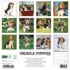 image Just Beagle Puppies 2025 Wall Calendar