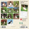 image English Springer Spaniels 2024 Mini Wall Calendar First Alternate Image width=&quot;1000&quot; height=&quot;1000&quot;