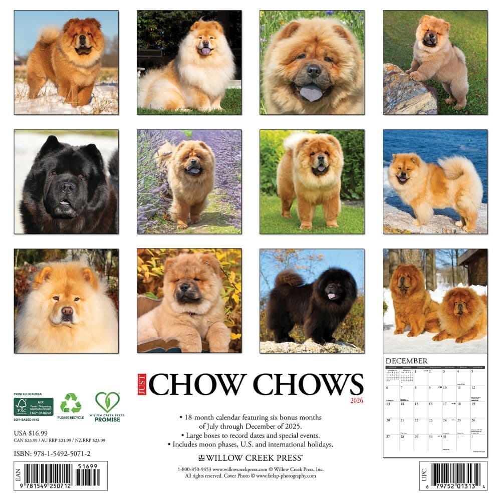Chow Chows 2026 Wall Calendar First Alternate Image