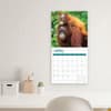 image Baby Animals 2025 Wall Calendar Fourth Alternate Image width="1000" height="1000"