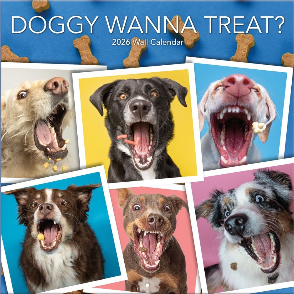 Doggy Want A Treat 2026 Wall Calendar_Main Image