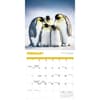 image Penguins 2026 Wall Calendar Second Alternate Image