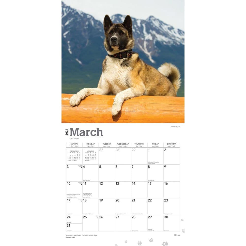 Akitas 2024 Wall Calendar