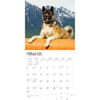 image Akitas 2024 Wall Calendar Second Alternate Image width=&quot;1000&quot; height=&quot;1000&quot;
