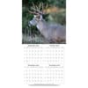 image White Tailed Deer 2025 Wall Calendar Third Alternate Image