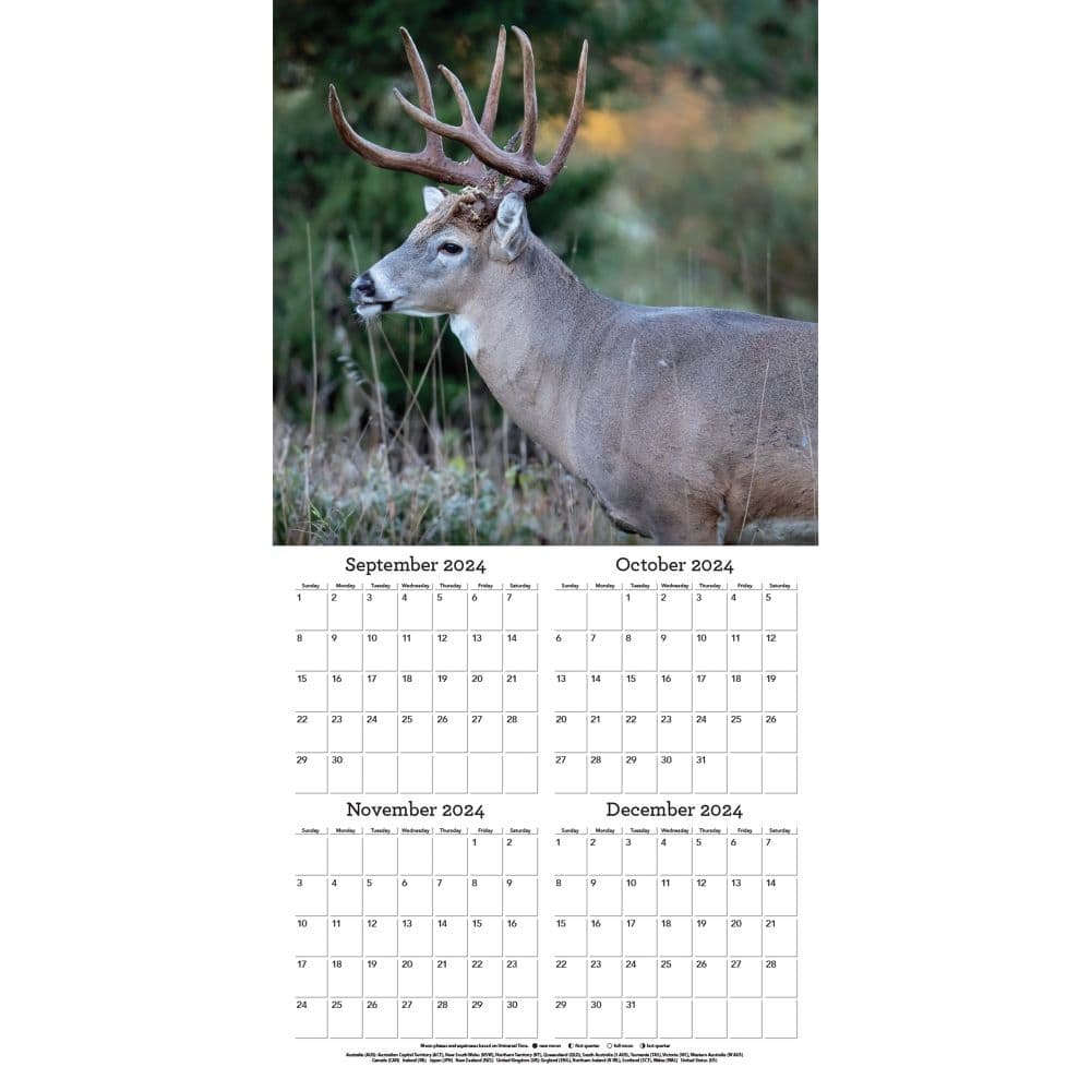 White Tailed Deer 2025 Wall Calendar Third Alternate Image