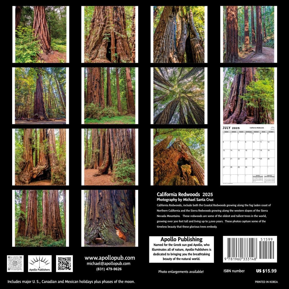 California Redwoods 2025 Wall Calendar First Alternate Image